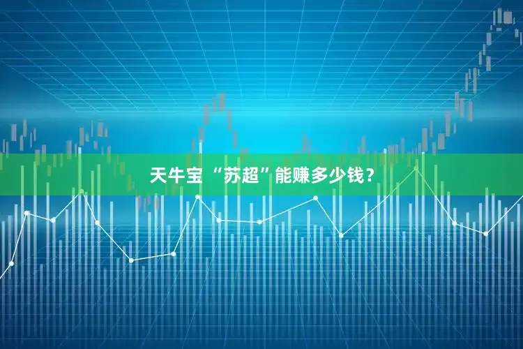 天牛宝 “苏超”能赚多少钱？